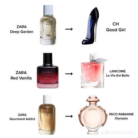 zara copia gucci|A Guide To The Best Zara Perfume Dupes .